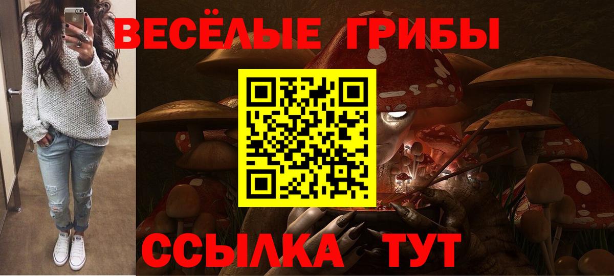 Галлюциногенные грибы ЛСД Ярославль