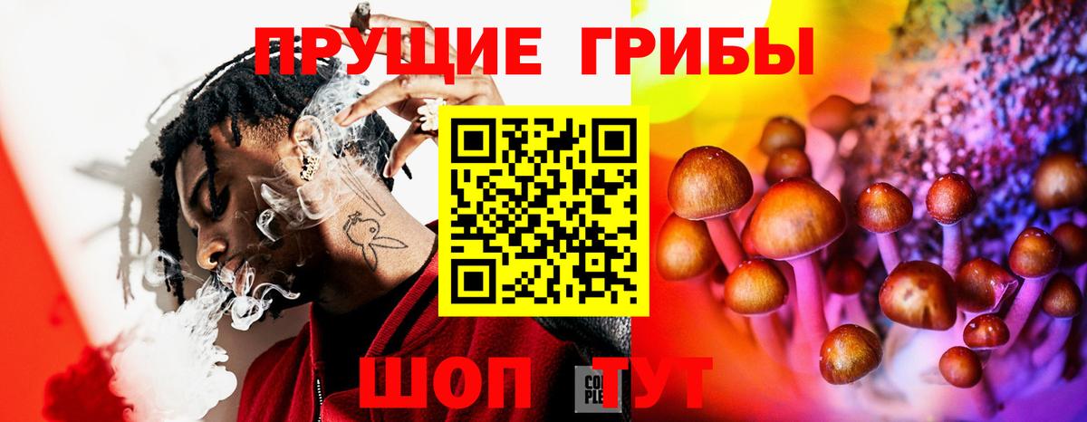 Ярославль  Псилоцибиновые грибы прущие грибы  Вход с VPN 